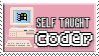 self-taught coder