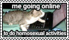 going online to do homosexual activities