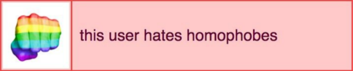this user hates homophobes